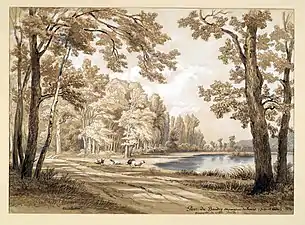 Dessin Parc de Baudry aux environs de Tours. (Indre et Loire) - propriété du Comte Reille, par Édouard Hostein