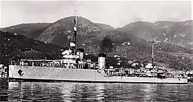 illustration de Pantera (destroyer)