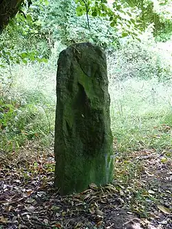 Image illustrative de l’article Menhirs de Kergoff