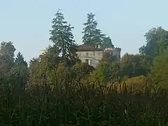 Le château de Dirac vu depuis la vallée de l'Anguienne...