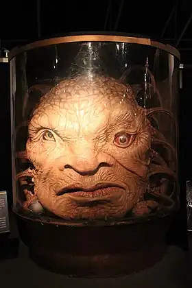 Image illustrative de l’article Face de Boe