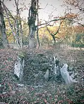 Dolmen de la Combe de l'Ours no&nbsp;1