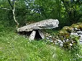 name=Dolmen des Causses Hauts no&nbsp;1
