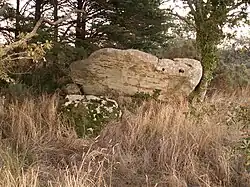 Dolmen de la Gauterie