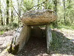 Image illustrative de l’article Dolmen de Marie-Gaillard