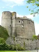 Le logis seigneurial et les tours donjon.