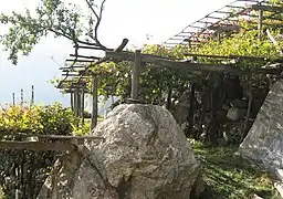 Les vignobles en terrasses