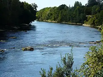La Dordogne juste en aval du barrage de Tuilières, entre Saint-Agne (à gauche) et Mouleydier.