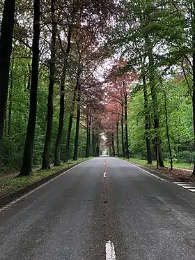 La drève de Lorraine à Uccle.