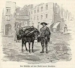 Un Valaque d'Istrie (Tschitsche en allemand) vers la fin du XIXe&nbsp;siècle.