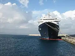 Le M/S Dream Princess à l'ancre dans le port de Rhodes en novembre 2007. Des filets de protection autour de la coque limitent les fuites d'huile.