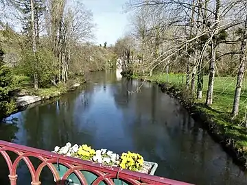 La Dronne à Épeluche (vue en direction de l'amont).