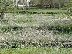 Ancienne cressonnière