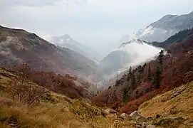 La réserve naturelle Djendema&nbsp;(en).