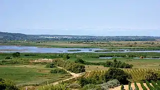 L'étang de Vendres.