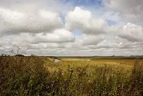 Image illustrative de l’article Egholm