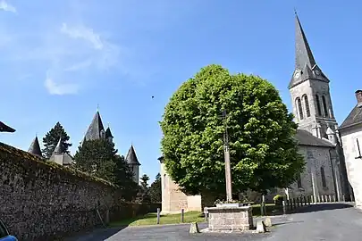 Vue latérale de l'église, à gauche les tours du château, au premier plan, le tilleul planté én 1831.