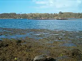 Vue sur une ferme piscicole devant Eilean Righ