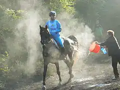 Scott Al Sah'ra, monté par Marcela Koptová en Tchéquie.