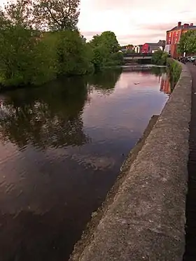 La rivière Fergus traverse Ennis.