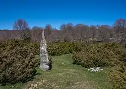 Image illustrative de l’article Menhir d'Itaida