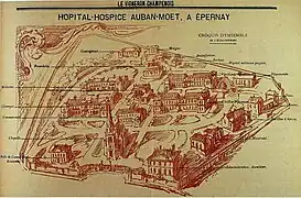 Vue général in : Le vigneron champenois,