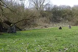 Eppeville. Alignement de la Pierre qui Pousse constitué de cinq menhirs dont trois visible hors du sol.