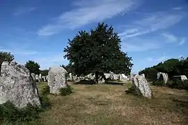 Une vue des alignements (3).