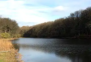 Image illustrative de l’article Étang de la Grenouillère