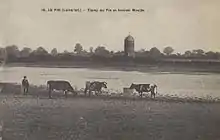 Carte postale ancienne illustrant l'étang du Pin.