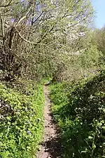 Le GR VA dans les Everbeekse bossen (nl)