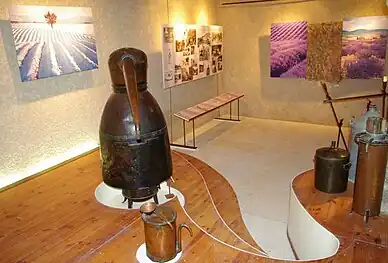 Exposition permanente « Lavandes et plantes aromatiques en haute Provence ».