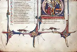 F009-Loutres, poisson et anguille