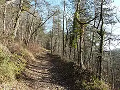 Le GR 36 près du château d'Auberoche.