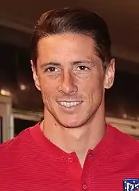 Image illustrative de l’article Fernando Torres