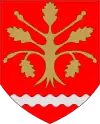 Blason de Finström