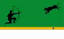 Drapeau de Amazonas