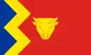 Drapeau de Birmingham