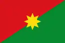 Flag of the Department of Casanare