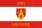 Drapeau de Megyer