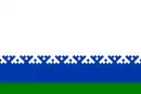 Drapeau de Nénétsie