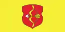 Drapeau de Pinsk