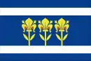 Drapeau de Provodov
