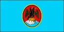 Drapeau de Rijeka