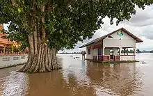 Une maison et un arbre sont entourés d'une eau boueuse, le sol n'est plus visible.