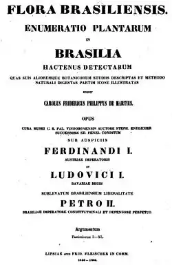 Image illustrative de l’article Flora Brasiliensis