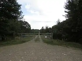 Image illustrative de l’article Forêt de Lanouée