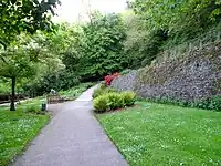 Autre vue du fougerarium.