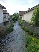 La Meurthe à Fraize (Vosges).