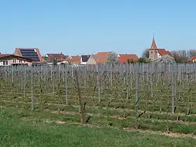 Freimersheim (Pfalz)